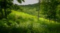 finca_21has_hojancha_costa_rica_3