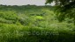finca_21has_hojancha_costa_rica_9