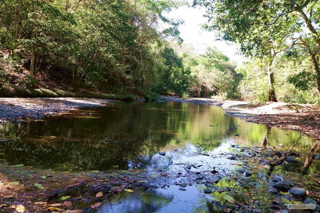 finca_30has_juan_de_leon_costa_rica_5ccopy