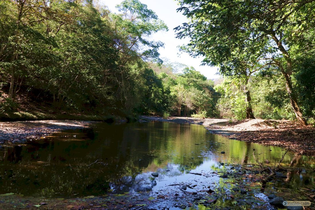 finca_30has_juan_de_leon_costa_rica_6copy