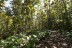 finca_30has_juan_de_leon_costa_rica_4copy