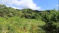 finca_39has_montana_grande_costa_rica_3copy