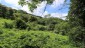 finca_39has_montana_grande_costa_rica_5copy