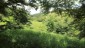 finca_39has_montana_grande_costa_rica_7copy
