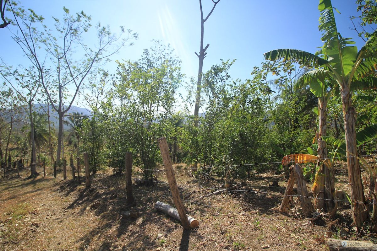 finca_4has_hojancha_costa_rica_3