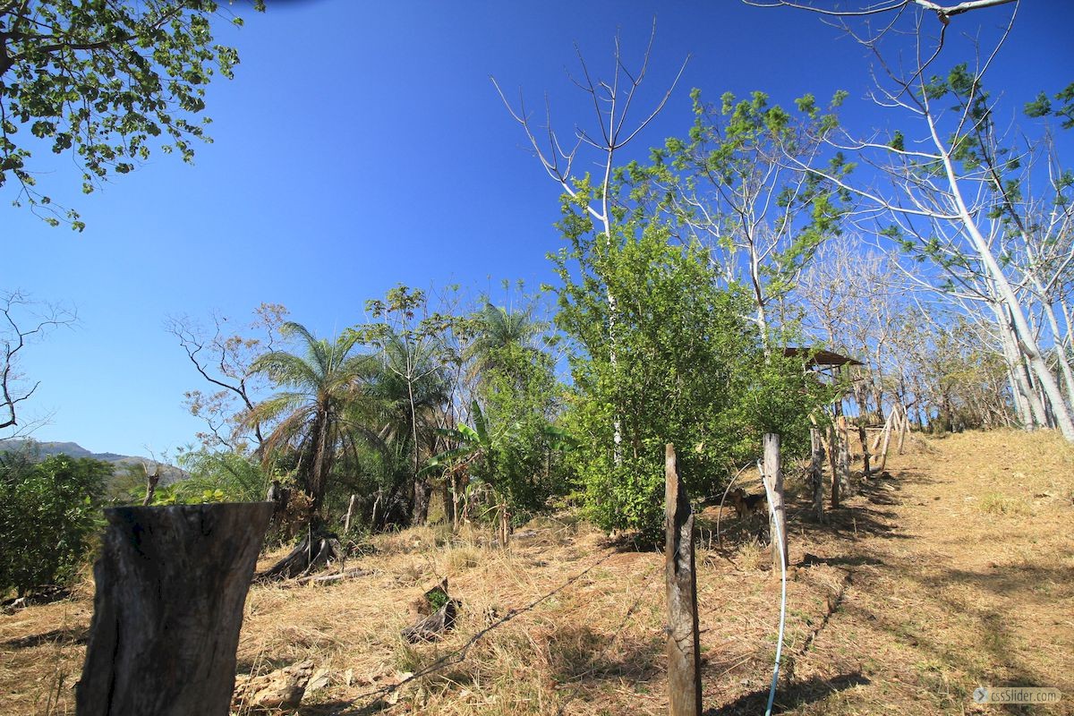 finca_4has_hojancha_costa_rica_4