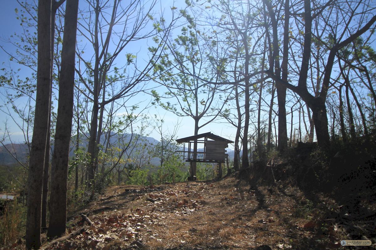 finca_4has_hojancha_costa_rica_5