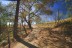 finca_4has_hojancha_costa_rica_12