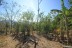 finca_4has_hojancha_costa_rica_3