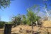 finca_4has_hojancha_costa_rica_4