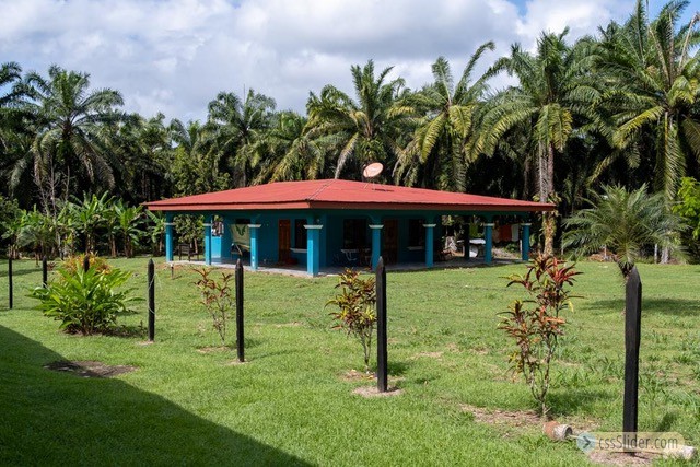 finca_68has_puerto_cortes_costa_rica_7