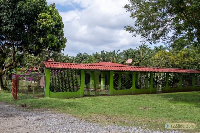 finca_68has_puerto_cortes_costa_rica_9