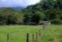 finca_68has_puerto_cortes_costa_rica_1