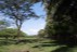 finca_68has_puerto_cortes_costa_rica_2