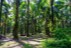 finca_68has_puerto_cortes_costa_rica_3