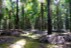 finca_68has_puerto_cortes_costa_rica_4