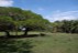 finca_68has_puerto_cortes_costa_rica_6