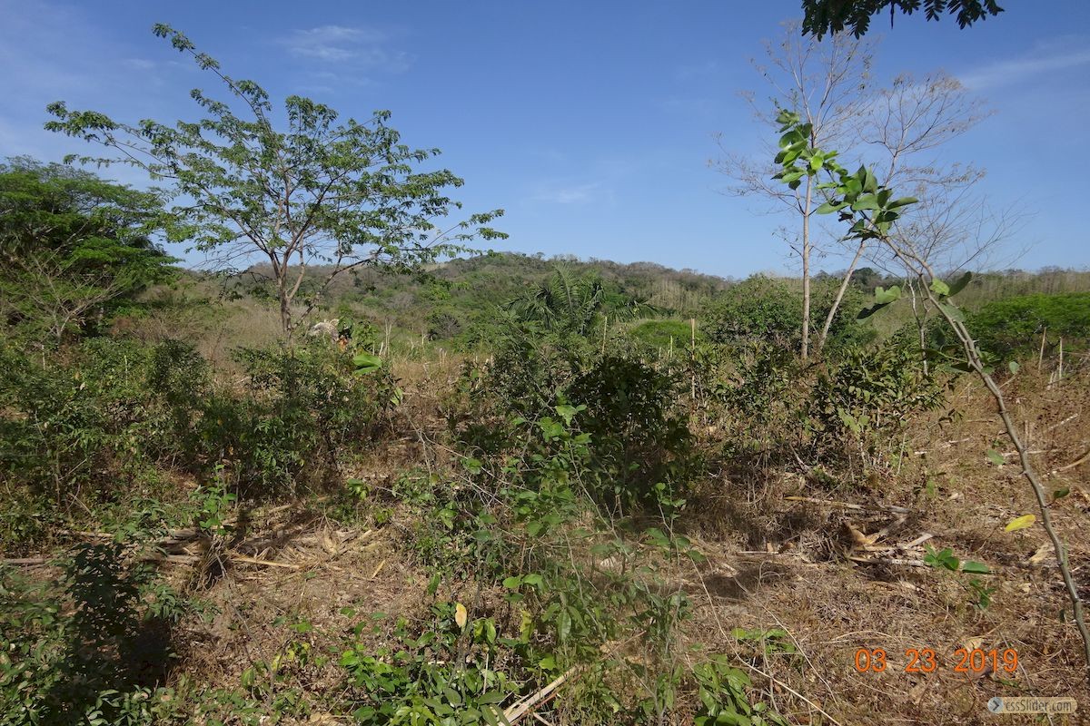 finca_6has_garza_costa_rica_2