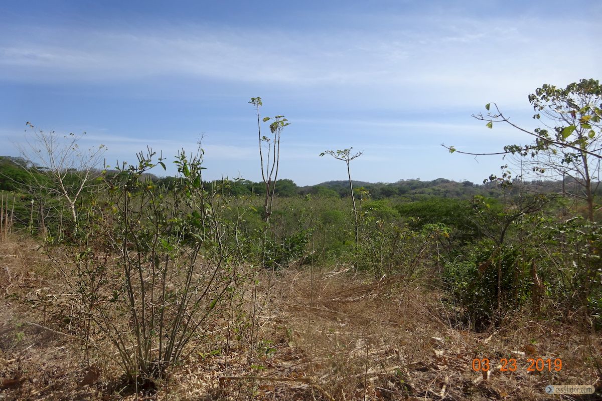 finca_6has_garza_costa_rica_4