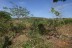 finca_6has_garza_costa_rica_2