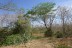 finca_6has_garza_costa_rica_3