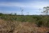 finca_6has_garza_costa_rica_4
