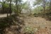 finca_6has_garza_costa_rica_5