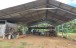 finca_cacao_nord_costa_rica_5copy