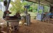 finca_cacao_nord_costa_rica_9copy