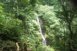 Vue de l'ecolodge du sud du Costa Rica