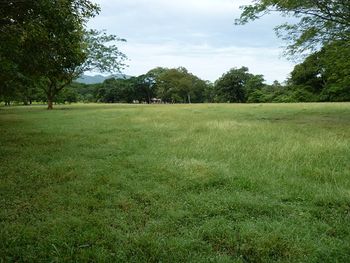 Vue de la finca de Santa Cruz, Costa Rica