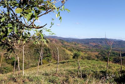 Vue de la finca de hojancha, costa rica