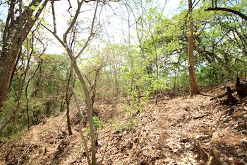 Vue de la finca de 43 has, hojancha, costa rica