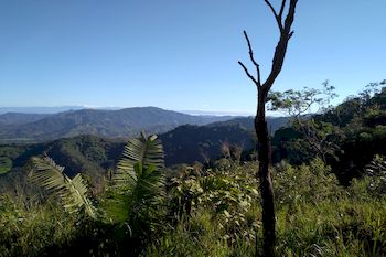 Vue de la finca de Jicaral, Costa Rica