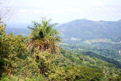 Vue de la finca de Turrubares, Costa Rica