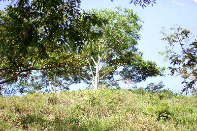 Vue de la finca de Turrubares, Costa Rica