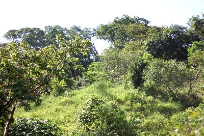 Vue de la finca de Turrubares, Costa Rica