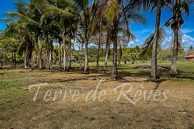 Vue du terrain de playa coyote, Costa Rica