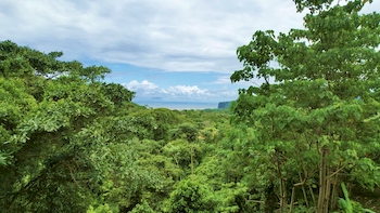 Vue du terrain d'Ojochal, Cota Rica