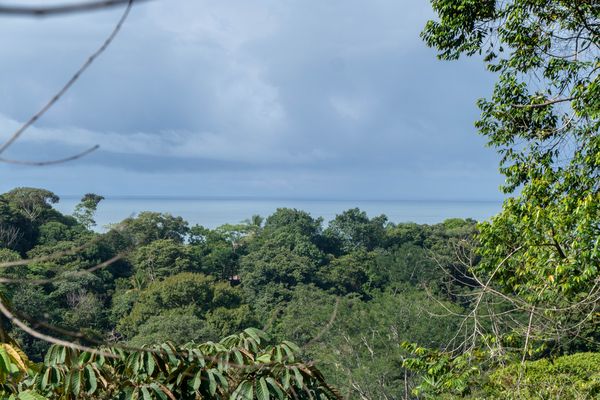 Vue du terrain d'Ojochal, Costa Rica