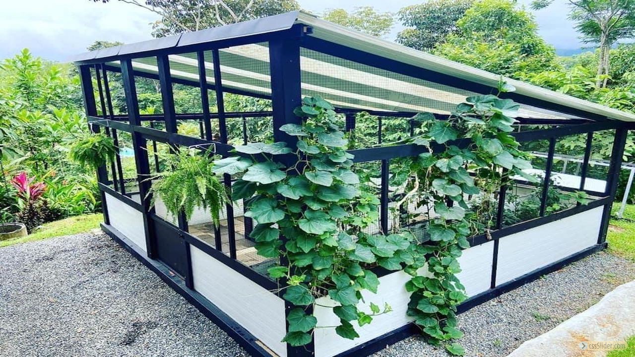 maison_110m2_ojochal_costa_rica_11