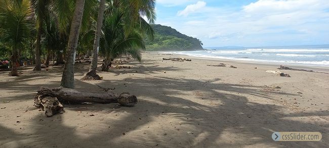 propriete_5.6has_corozalito_costa_rica_20copy