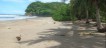 propriete_5.6has_corozalito_costa_rica_21copy