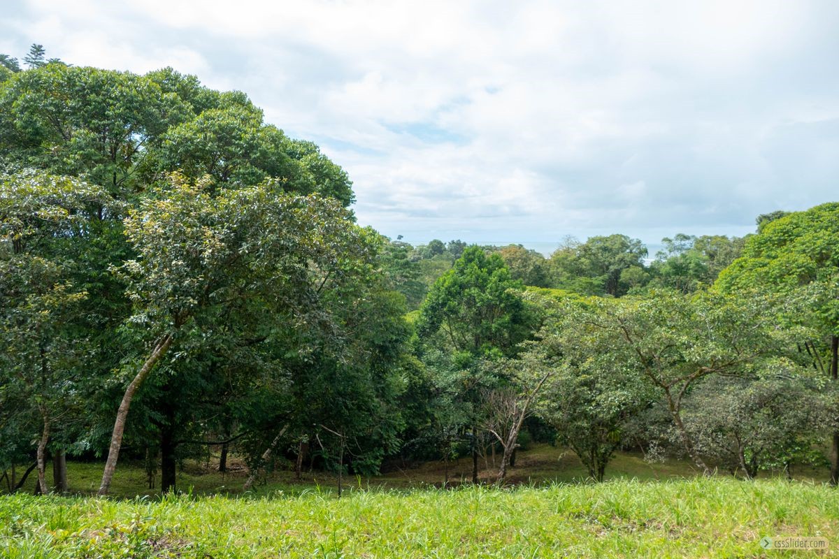 terrain_10673m2_ojochal_costa_rica_2