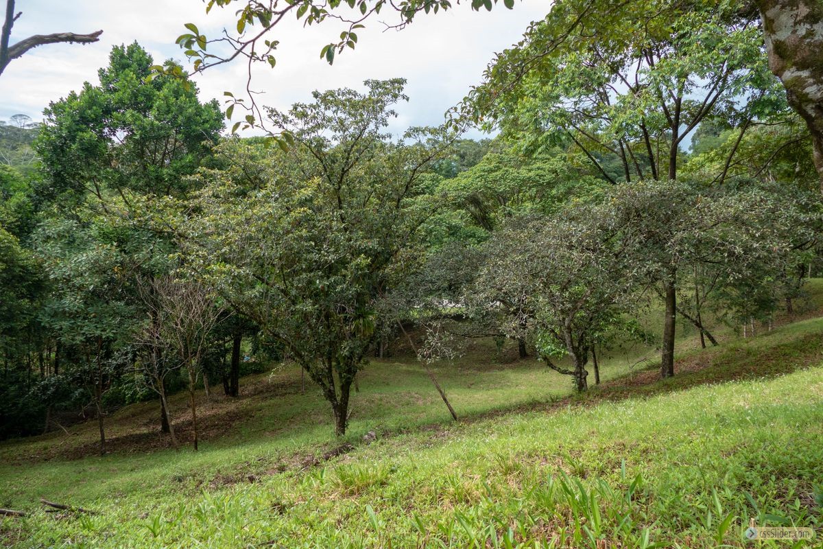 terrain_10673m2_ojochal_costa_rica_4