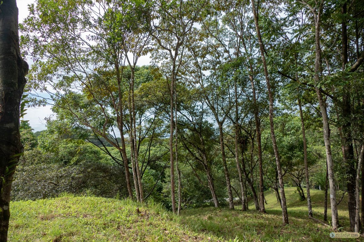 terrain_10673m2_ojochal_costa_rica_5