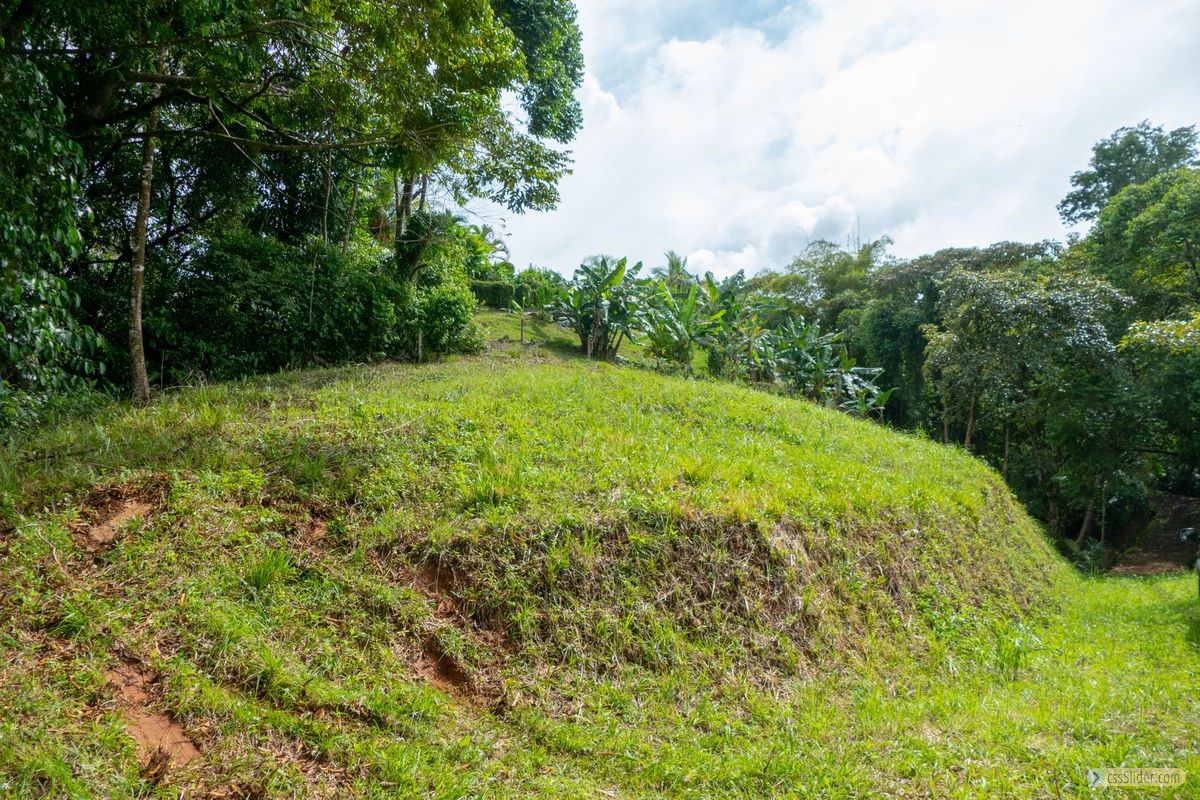 terrain_10673m2_ojochal_costa_rica_6