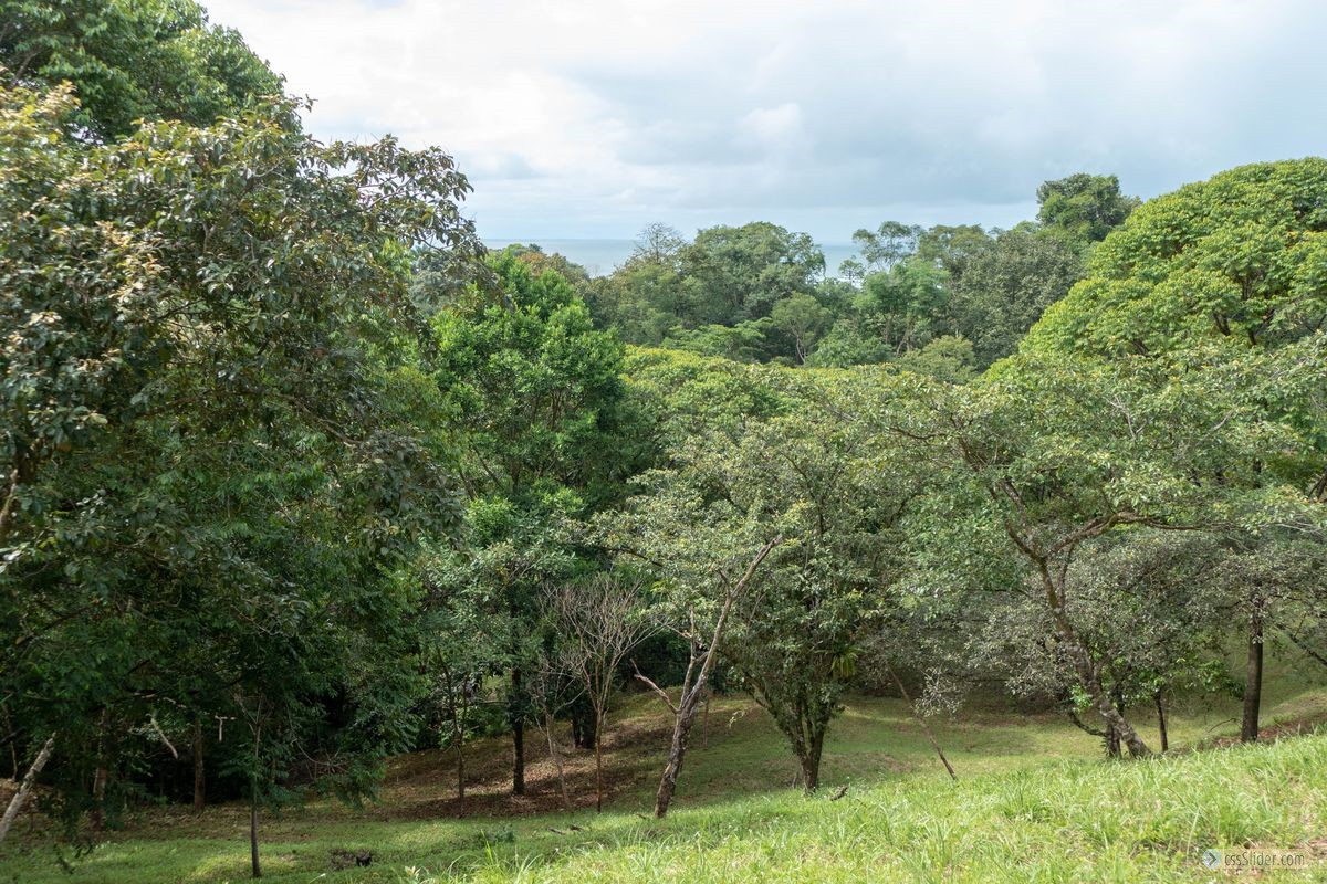 terrain_10673m2_ojochal_costa_rica_7