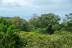terrain_10673m2_ojochal_costa_rica_1