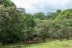 terrain_10673m2_ojochal_costa_rica_7